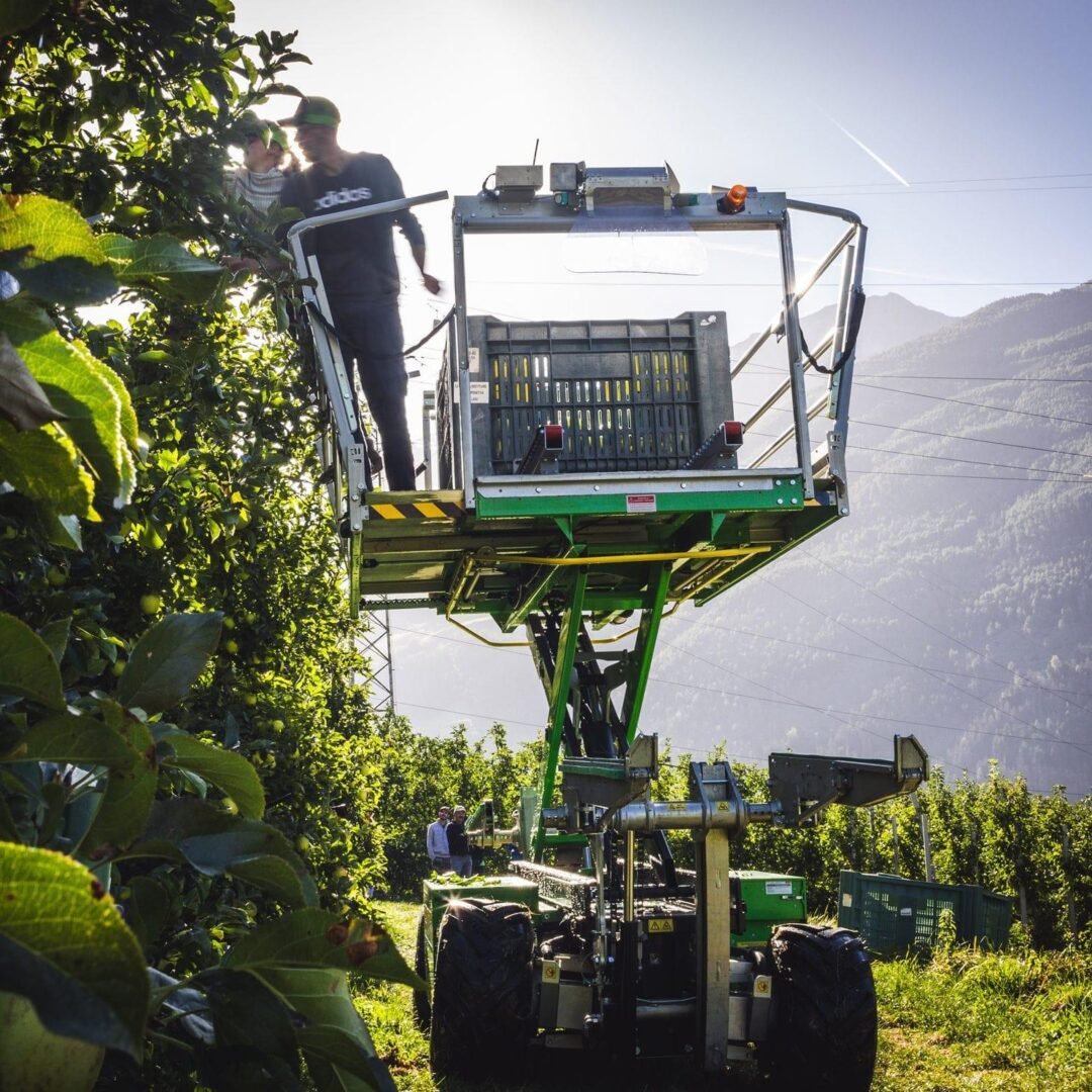 LiFePO4 battery powering an agricultural forklift