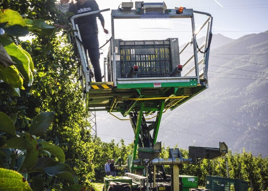 LiFePO4 battery used in cold storage agricultural logistics